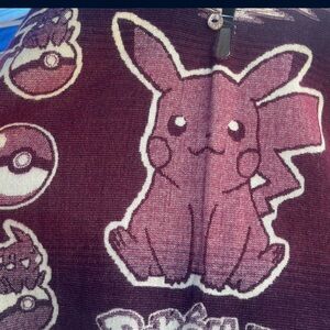 Pokémon ponchos